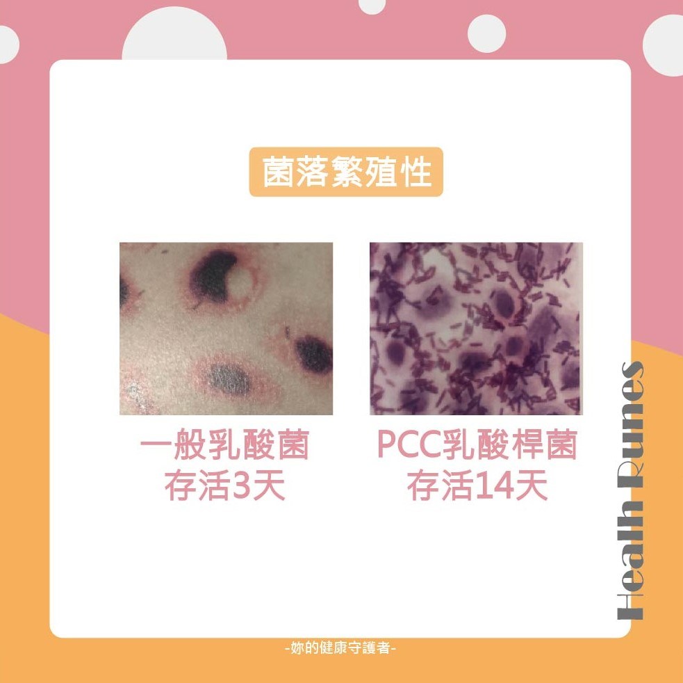 益生菌挑選標準1：菌落繁殖性